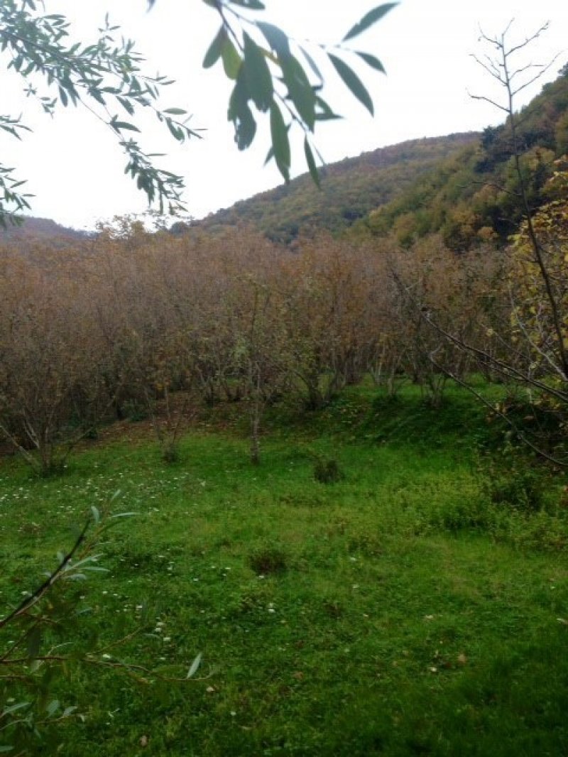 Giffoni Valle Piana appezzamenti terreno agricolo a Salerno in Vendita