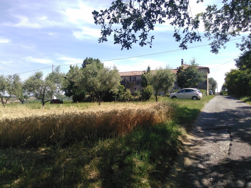 Cerasolo di Coriano casa agricola con terreno a Rimini in Vendita