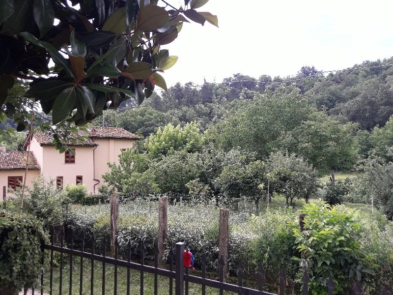 Montevarchi porzione di casa colonica a Arezzo in Vendita