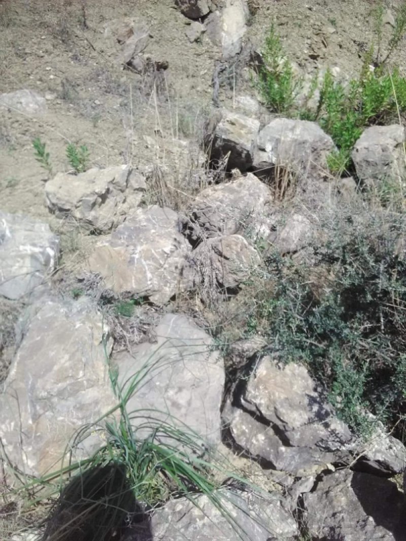 Cerda terreno per apertura cava a Palermo in Vendita