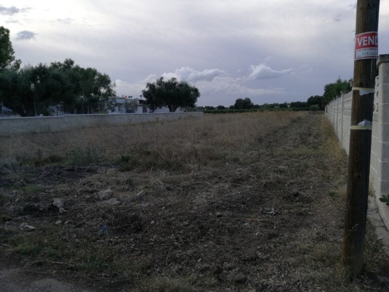 Pulsano terreno agricolo a Taranto in Vendita