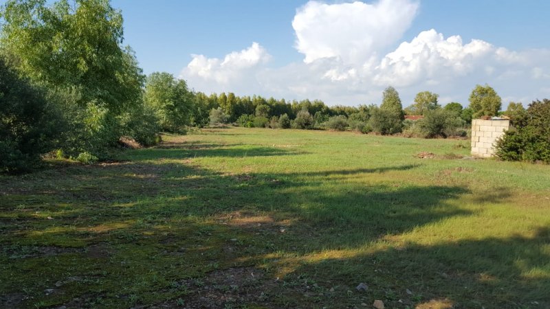 Uta terreno agricolo a Cagliari in Vendita