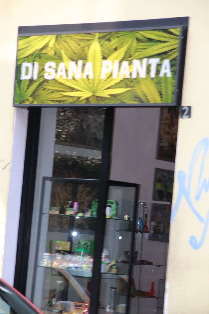 Monza negozio canapa marijuana light a Monza e della Brianza in Vendita