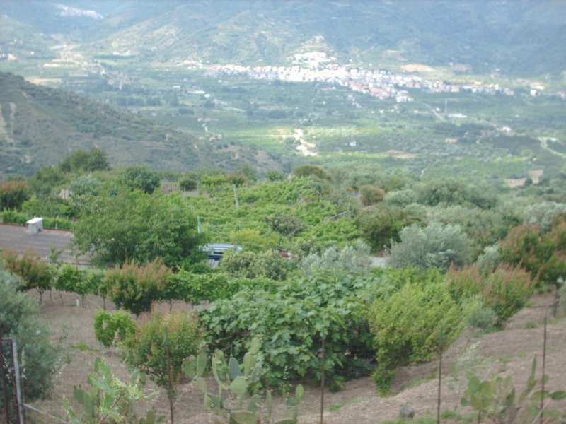 Calatabiano terreno agricolo a Catania in Vendita
