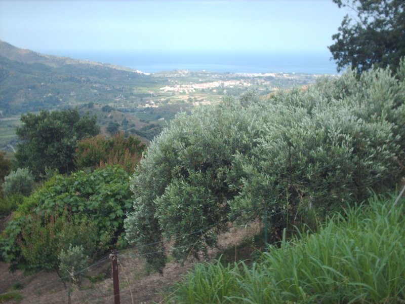 Calatabiano terreno agricolo a Catania in Vendita