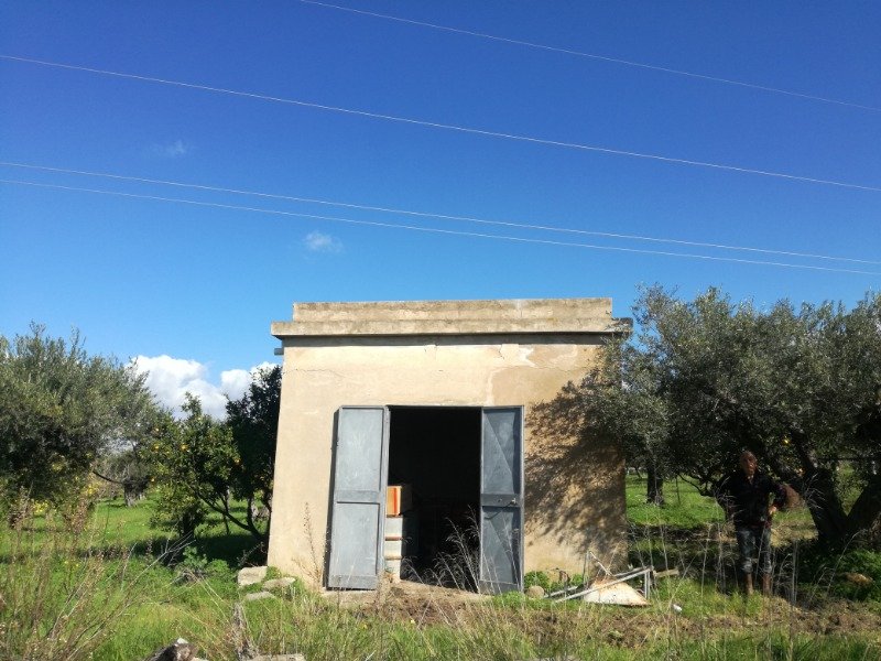 Sciacca terreno agricolo in zona piana Scunchipani a Agrigento in Vendita
