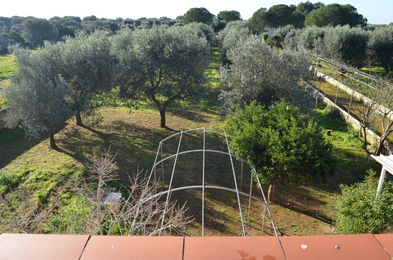 Sava da privato villa immersa nel verde a Taranto in Vendita