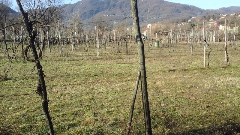 Mulazzo terreno pianeggiante fronte strada a Massa-Carrara in Vendita