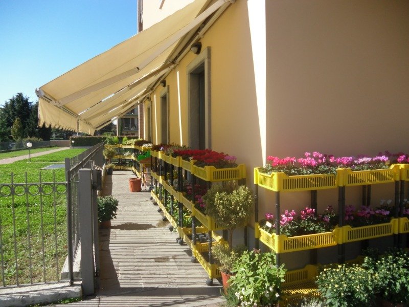 Bergamo cedo avviata attivit di fiorista a Bergamo in Vendita