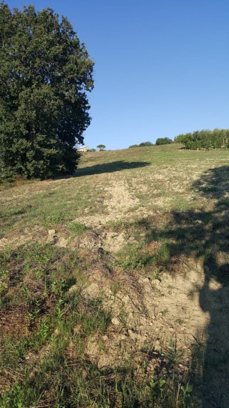 Baschi appezzamenti di terreno agricolo boschivo a Terni in Vendita
