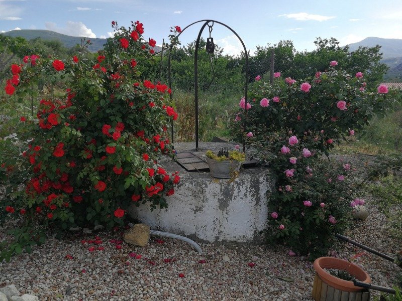 Misilmeri villetta con giardino e terreno uliveto a Palermo in Vendita