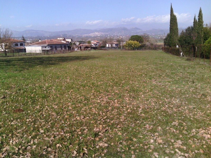 Supino terreno edificabile pianeggiante a Frosinone in Vendita