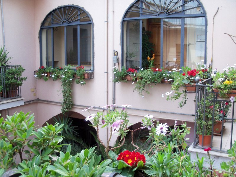 Cicciano bed and breakfast a Napoli in Affitto