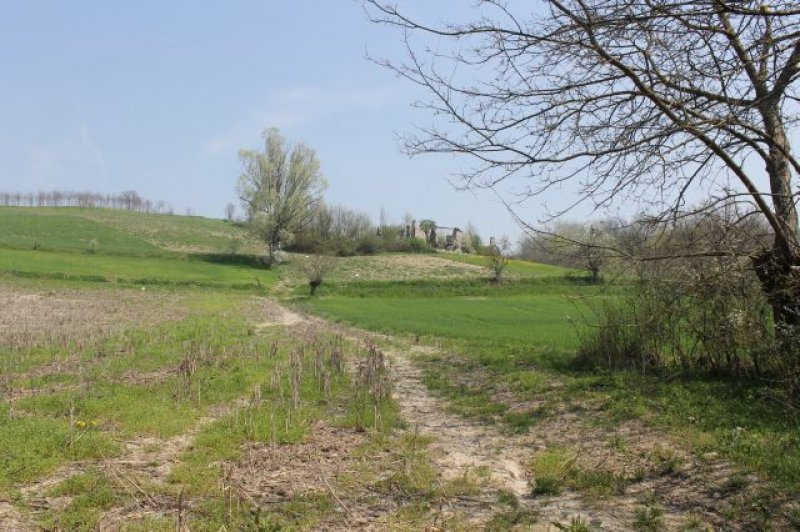 Avolasca terreno agricolo seminativo a Alessandria in Vendita