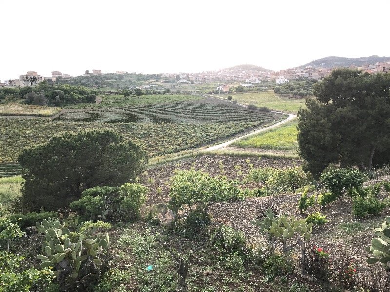 Favara villino immerso nel verde a Agrigento in Vendita