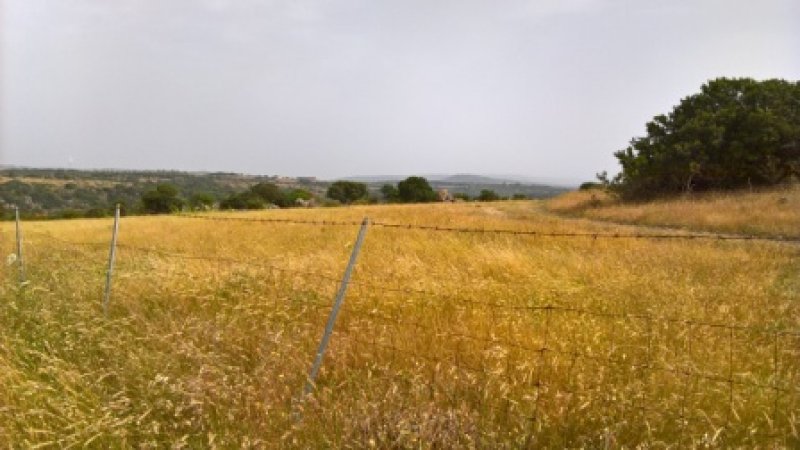 Alghero strada per Putifigari terreno agricolo a Sassari in Vendita