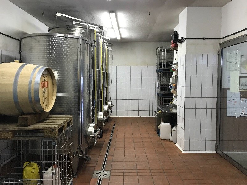 Tirano azienda vitivinicola a Sondrio in Vendita
