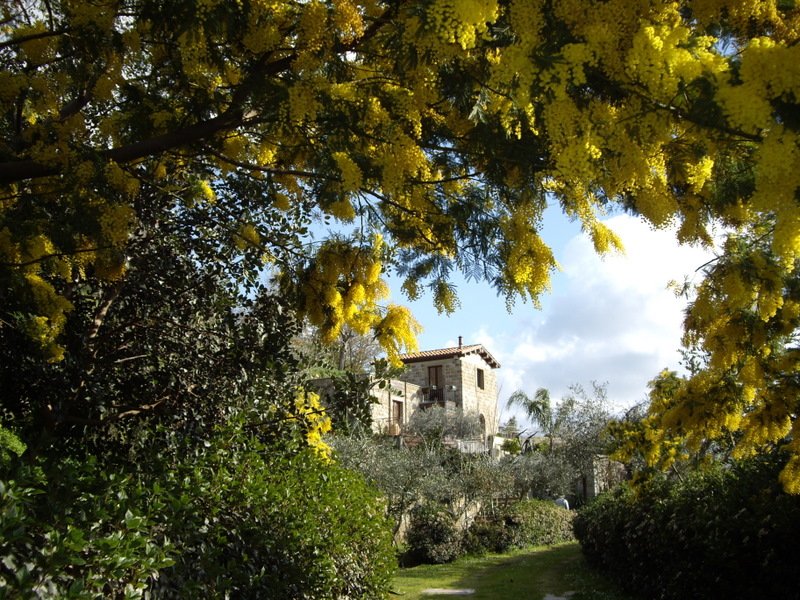 Castell'Umberto villa a Messina in Vendita