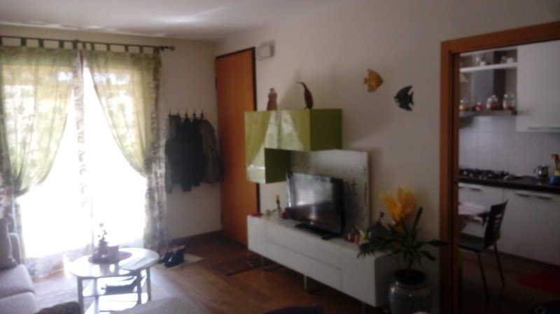 Appartamento Roncade a Treviso in Vendita