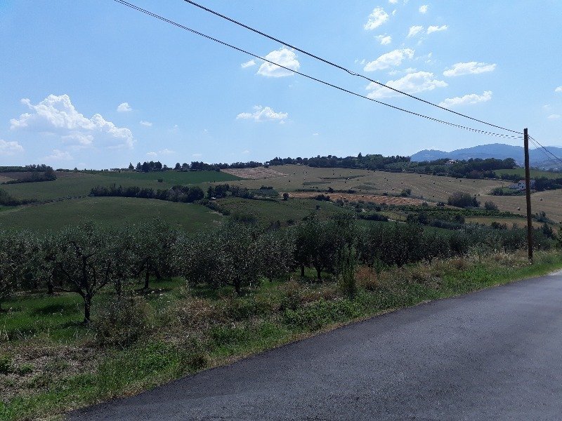 San Giovanni in Marignano terreno ad uso agricolo a Rimini in Vendita