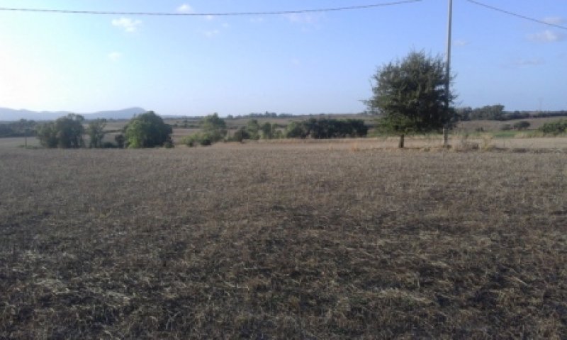 Olmedo terreno agricolo a Sassari in Vendita