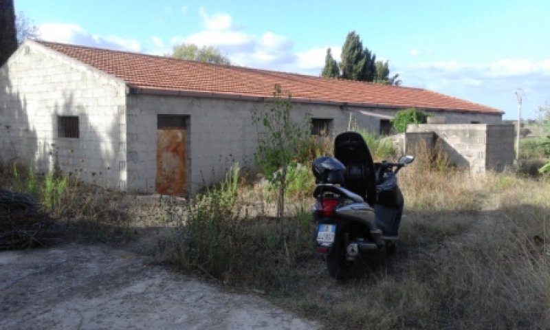 Olmedo strada vecchia per Sassari terreno agricolo a Sassari in Vendita