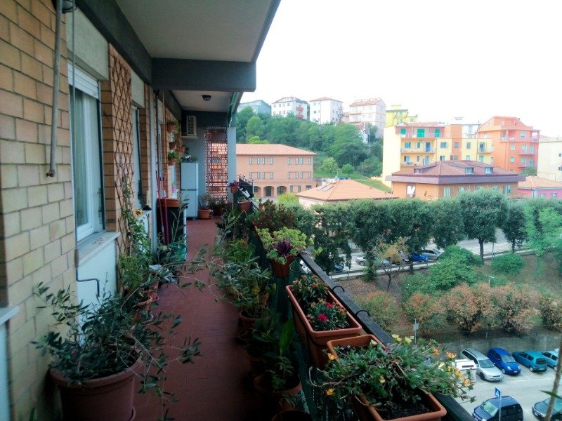 Falconara Marittima appartamento luminoso a Ancona in Vendita