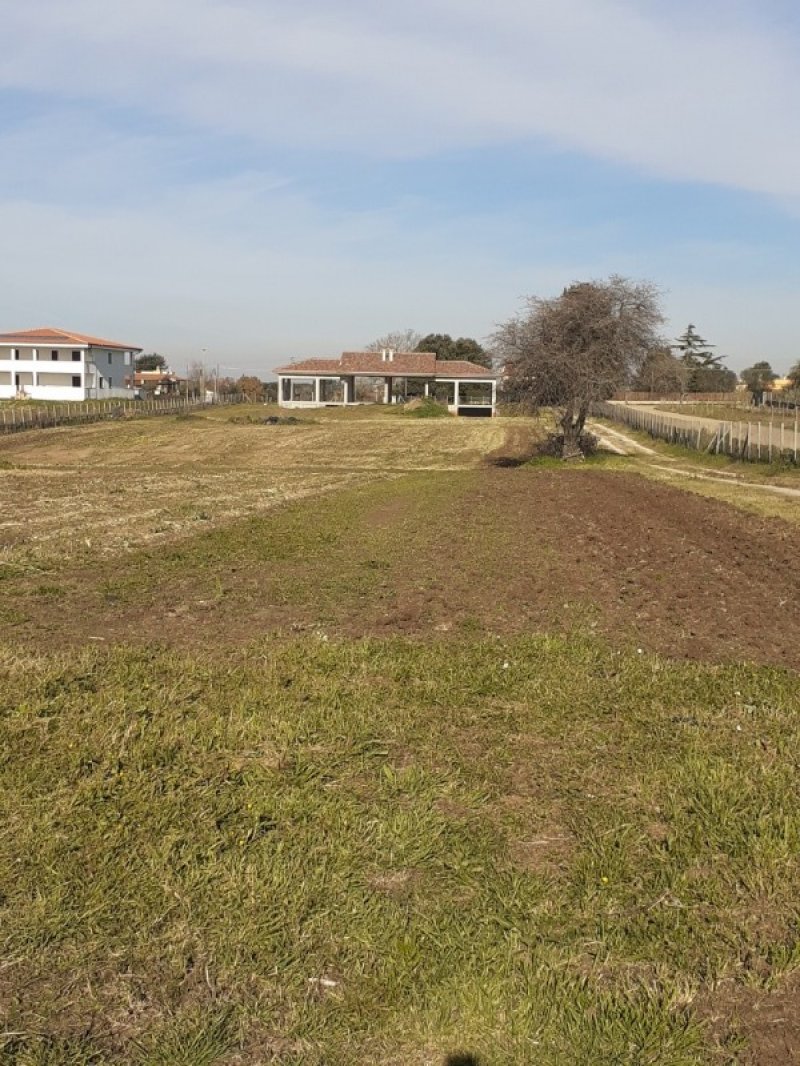 Aprilia terreno agricolo con costruzione a Latina in Vendita