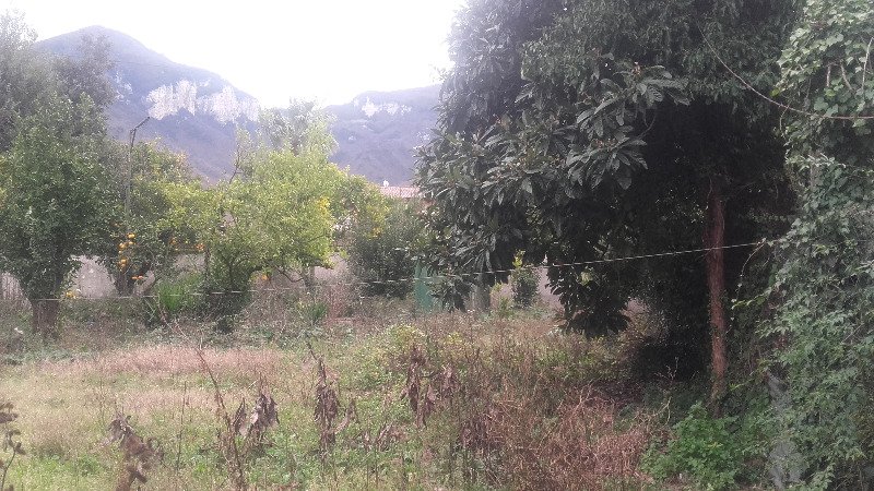 Lotti di terreno in Sant'Egidio del Monte Albino a Salerno in Affitto