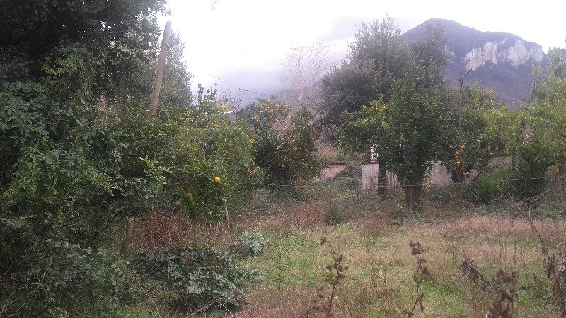 Lotti di terreno in Sant'Egidio del Monte Albino a Salerno in Affitto