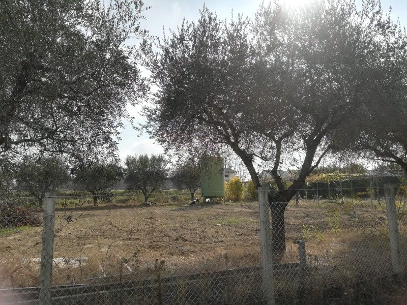 San Giovanni in Marignano terreno agricolo a Rimini in Vendita