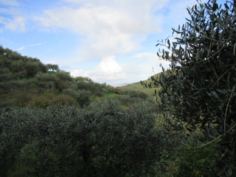Santa Lucia del Mela terreno agricolo con casetta a Messina in Vendita