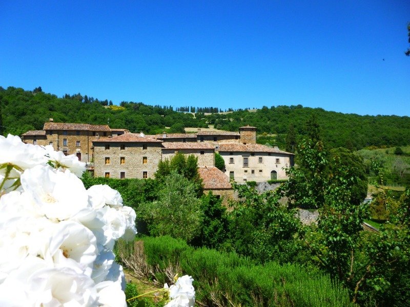Citt di Castello azienda agricola biologica a Perugia in Vendita