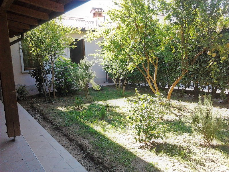 Vicenza ufficio con piccolo giardino a Vicenza in Affitto
