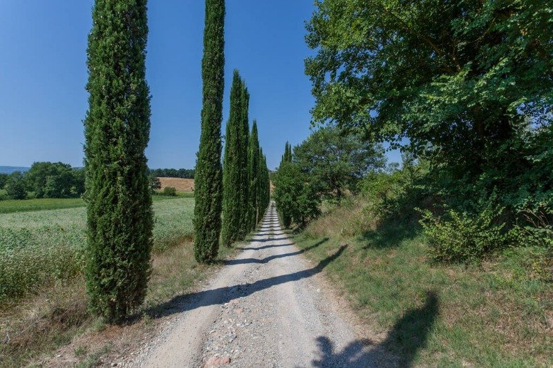 Castiglione del Lago tenuta agricola a Perugia in Vendita