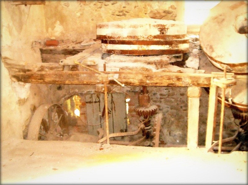 Zuccarello laboratorio mulino a Savona in Vendita