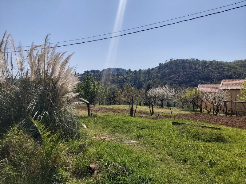Ortovero terreno edificabile per villa a Savona in Vendita