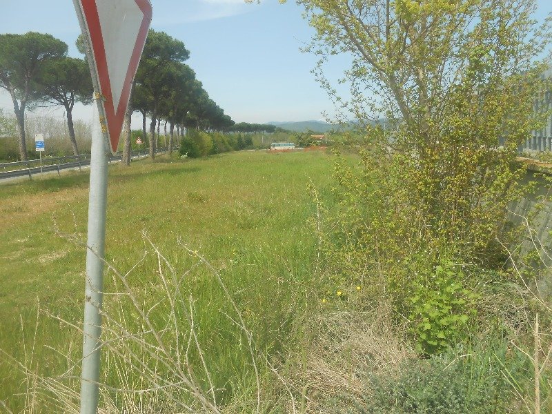 Cortona terreno commerciale artigianale a Arezzo in Vendita