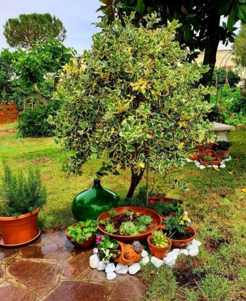 Anzio appartamento in villa con giardino a Roma in Affitto