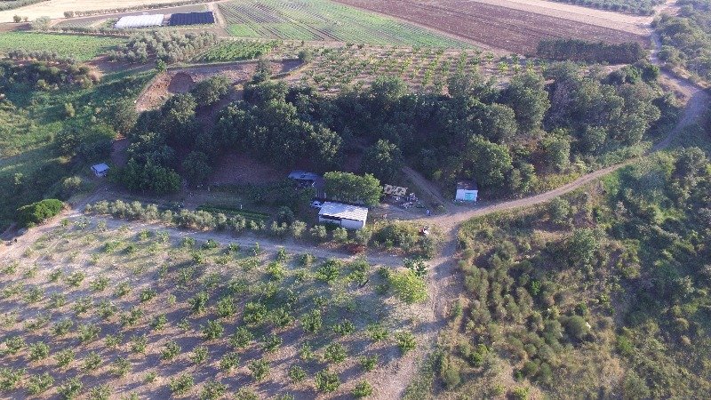 Terreni in agro di Montalbano Jonico a Matera in Vendita