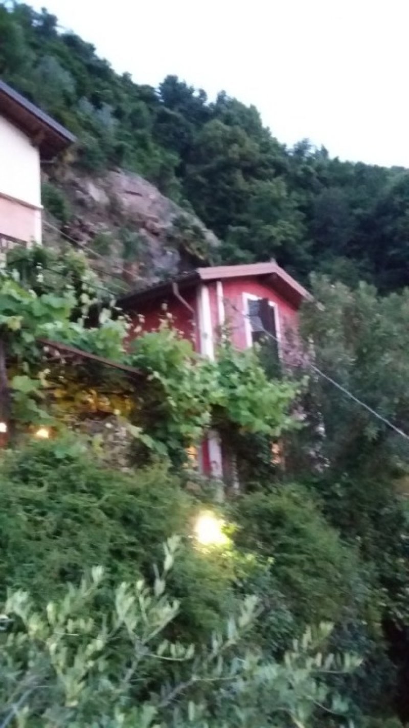 Casetta con giardino e crotto a Lecco in Vendita