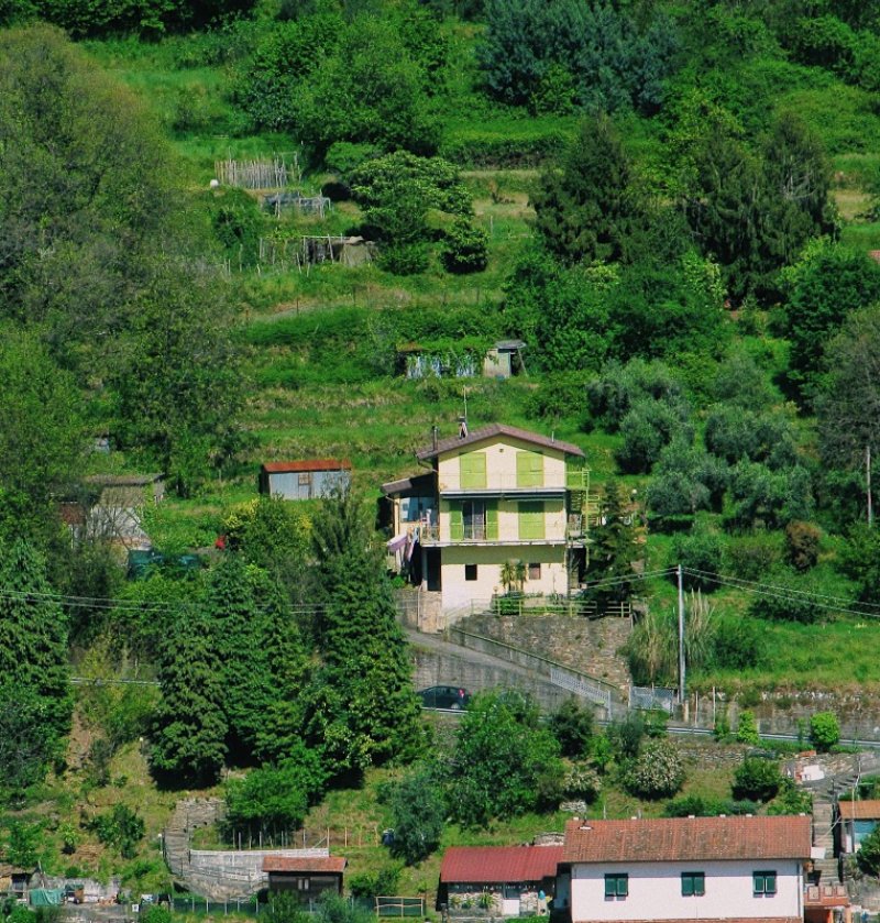 Bergiola Maggiore in zona collinare casa a Massa-Carrara in Vendita