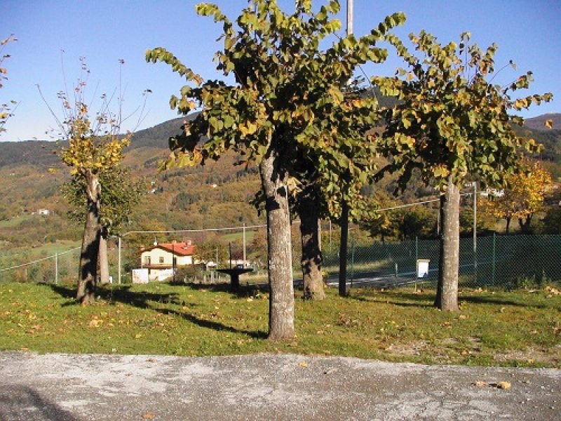 San Marcello Pistoiese monolocale ammobiliato a Pistoia in Affitto