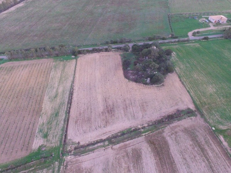 Castiadas terreno agricolo pianeggiante a Cagliari in Vendita