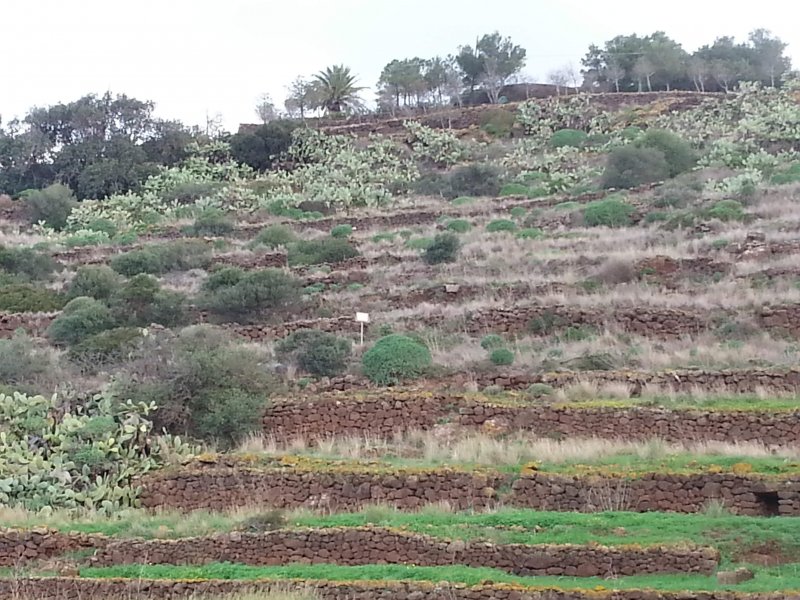 Pantelleria terreno Karebbe a Trapani in Vendita