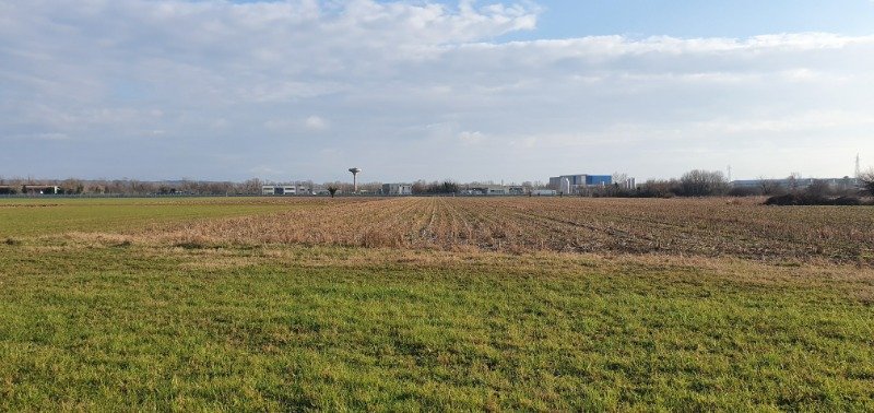 Villesse localit Vermatta terreno agricolo a Gorizia in Vendita