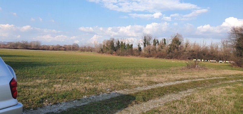 Villesse localit Vermatta terreno agricolo a Gorizia in Vendita