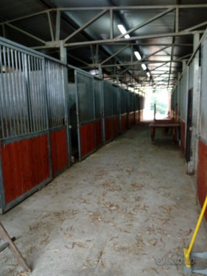 Alvignano capannone con box per cavalli a Caserta in Affitto