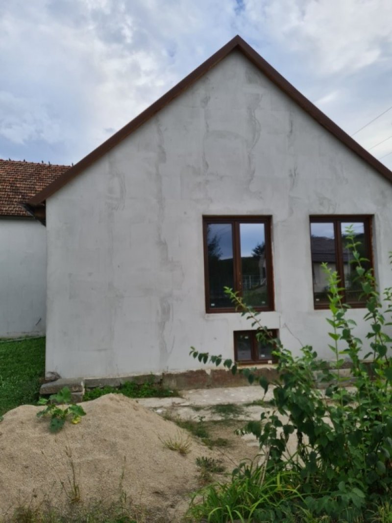 Milova Arad casa a Romania in Vendita