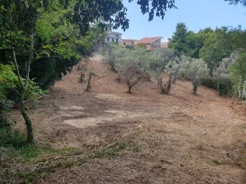 Terreno agricolo a Colle Macchiuzzo Termoli a Campobasso in Vendita
